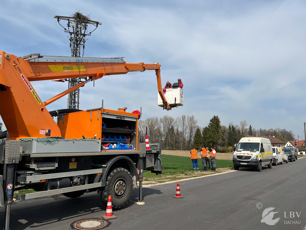 Storchennestversetzung